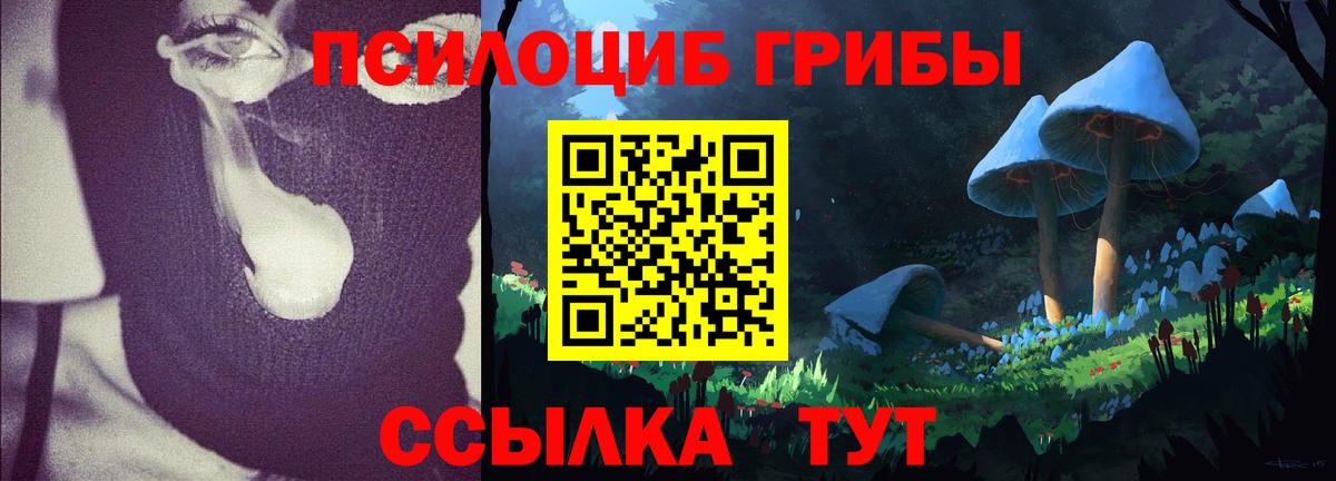 Галлюциногенные грибы Cubensis Топки