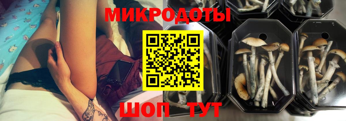 Псилоцибиновые грибы мицелий  Вход с VPN  наркота  Топки  Галлюциногенные грибы GOLDEN TEACHER 